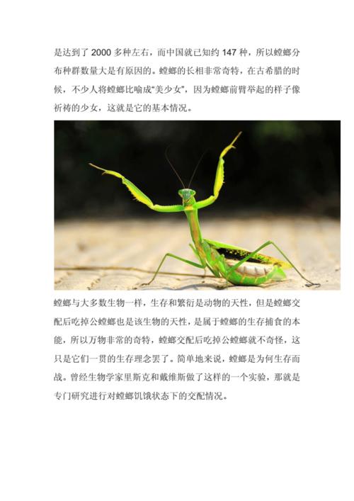 昆虫记中螳螂的习性