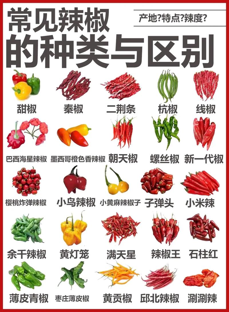 辣椒的种类