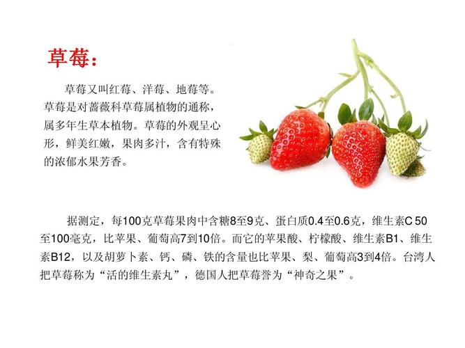 草莓是什么意思网络语的相关图片