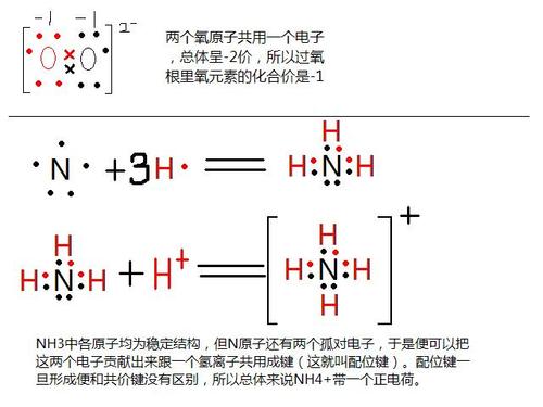 铵根离子化学式是什么的相关图片